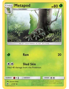 Metapod - Reverse Holo