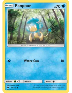 Panpour - Reverse Holo