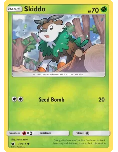 Skiddo - Reverse Holo