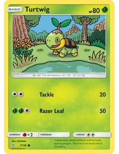 Turtwig - Reverse Holo