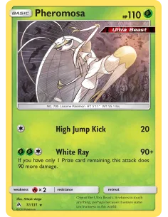 Pheromosa - Reverse Holo