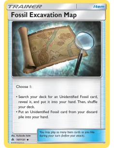 Fossil Excavation Map - Reverse Holo
