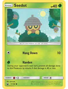 Seedot - Reverse Holo