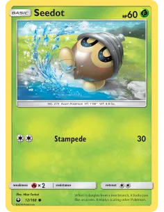 Seedot - Reverse Holo