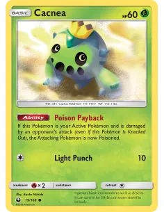 Cacnea - Reverse Holo