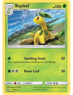 Bayleef - Reverse Holo