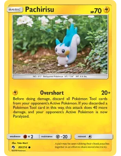 Pachirisu - Reverse Holo