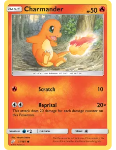Charmander - Reverse Holo