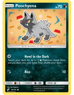 Poochyena - Reverse Holo