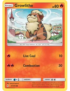 Growlithe - Reverse Holo