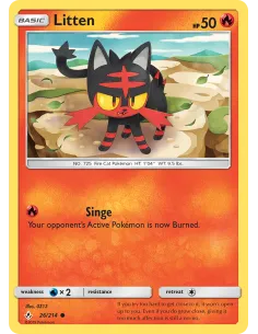 Litten - Reverse Holo