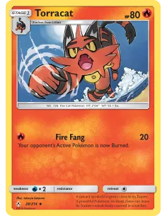 Torracat - Reverse Holo