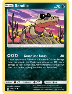 Sandile - Reverse Holo