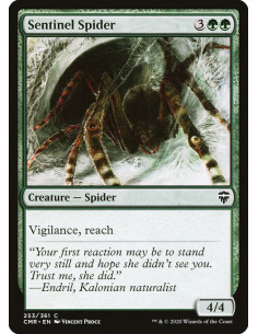 Sentinel Spider