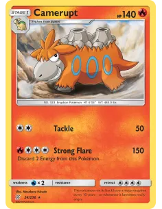Camerupt - Reverse Holo