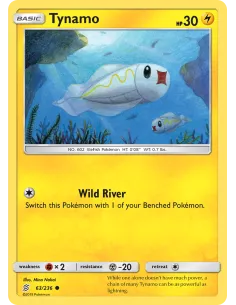 Tynamo - Reverse Holo