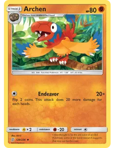 Archen - Reverse Holo