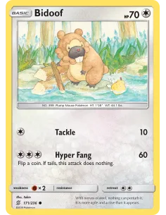 Bidoof - Reverse Holo