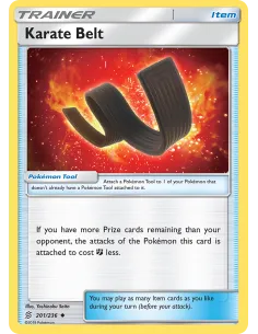 Karate Belt - Reverse Holo