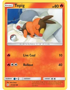 Tepig - Reverse Holo