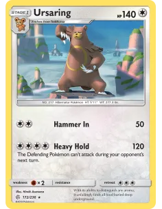 Ursaring - Reverse Holo