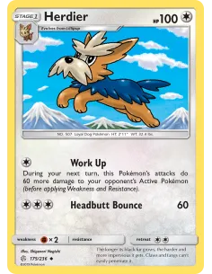 Herdier - Reverse Holo