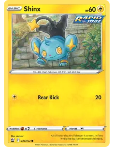 Shinx - Reverse Holo