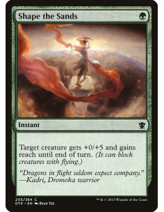 Shape the Sands - Foil