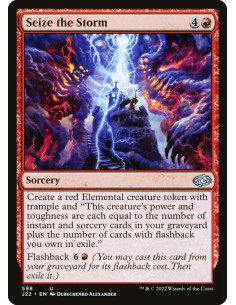 Seize the Storm