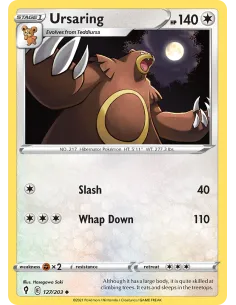 Ursaring - Reverse Holo