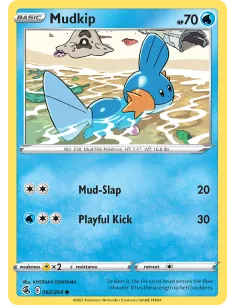 Mudkip - Reverse Holo