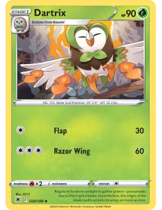 Dartrix - Reverse Holo