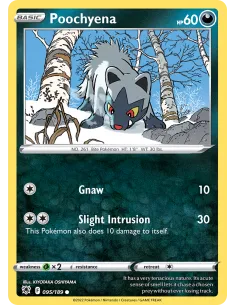 Poochyena - Reverse Holo