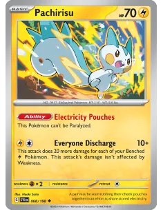 Pachirisu - Reverse Holo