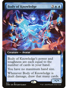 Body of Knowledge - Foil