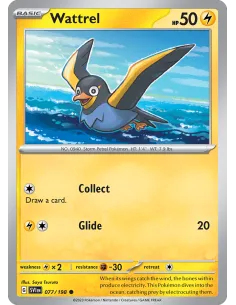 Wattrel - Reverse Holo