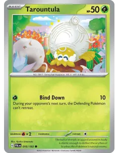 Tarountula - Reverse Holo