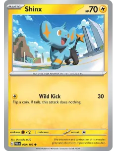 Shinx - Reverse Holo