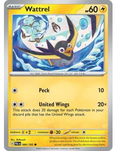 Wattrel - Reverse Holo