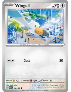 Wingull - Reverse Holo