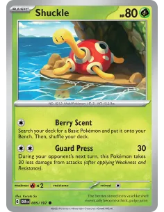 Shuckle - Reverse Holo