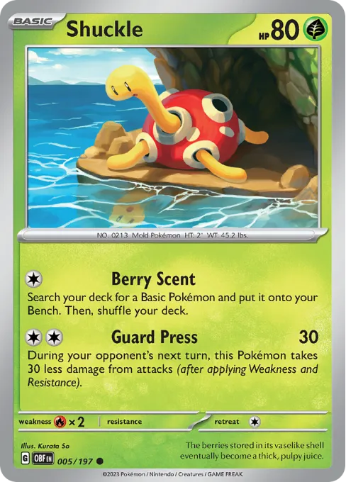 Shuckle - Reverse Holo