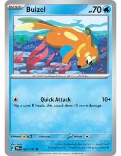 Buizel - Reverse Holo