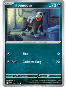 Houndour - Reverse Holo