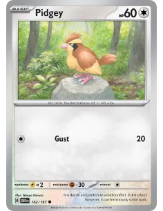 Pidgey - Reverse Holo