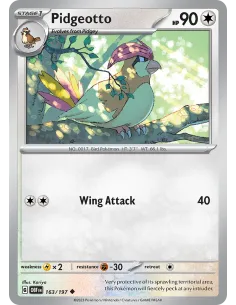 Pidgeotto - Reverse Holo