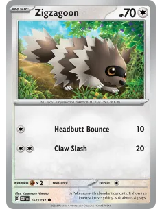 Zigzagoon - Reverse Holo