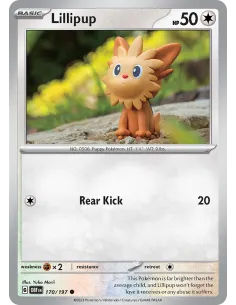 Lillipup - Reverse Holo