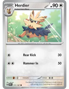 Herdier - Reverse Holo