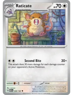 Raticate - Reverse Holo